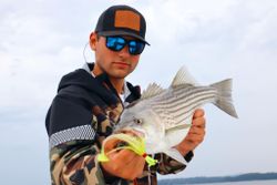 Lake Lanier fishing charters